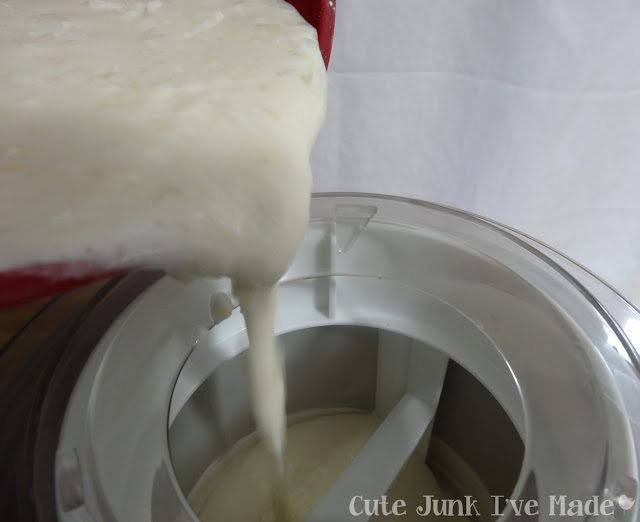 Pineapple Coconut Frozen Yogurt - mixture being poured into ice cream maker