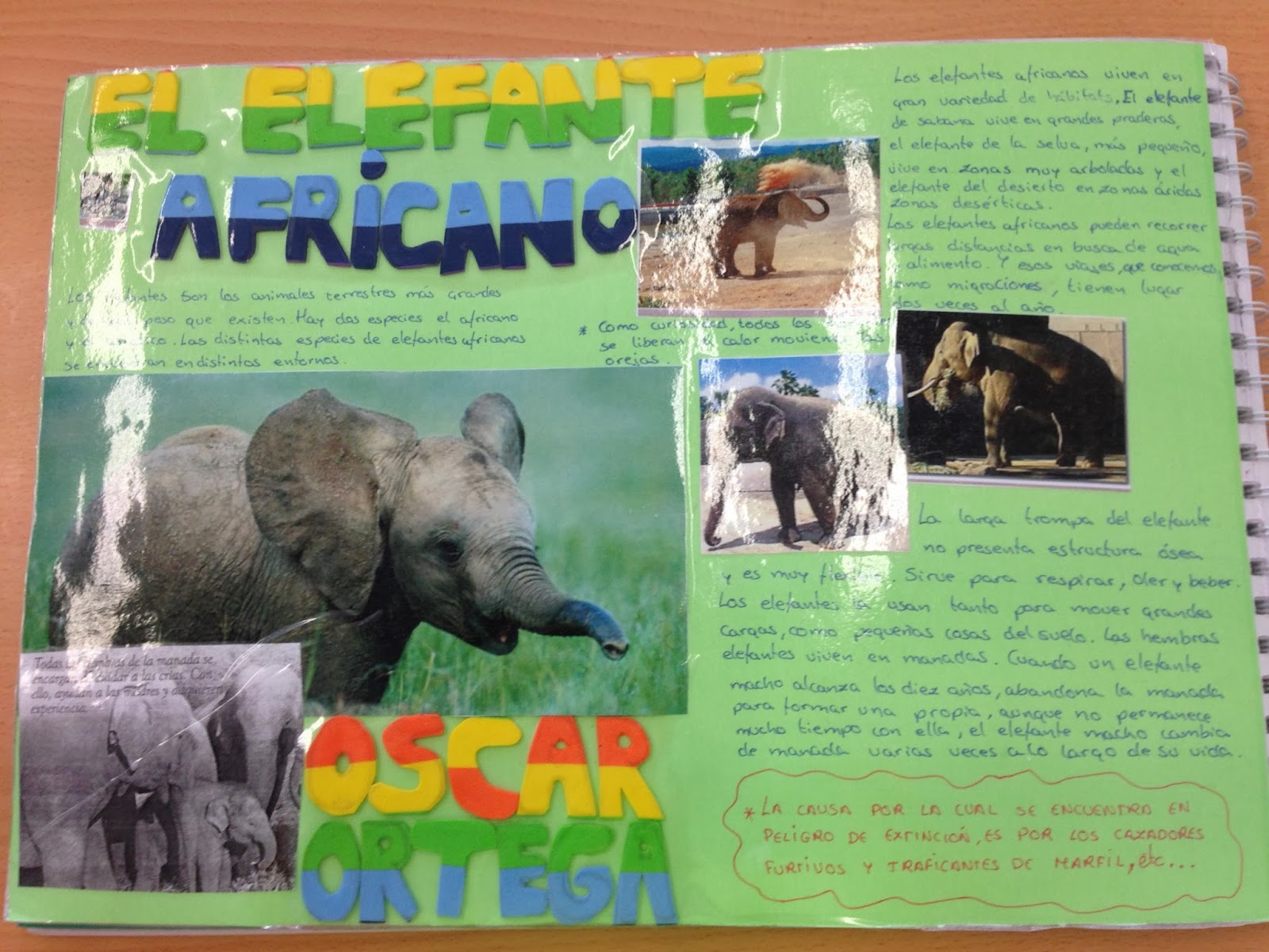 BUENAVISTA AVENTURA Proyecto 4 años B S.O.S. Animales en Peligro de