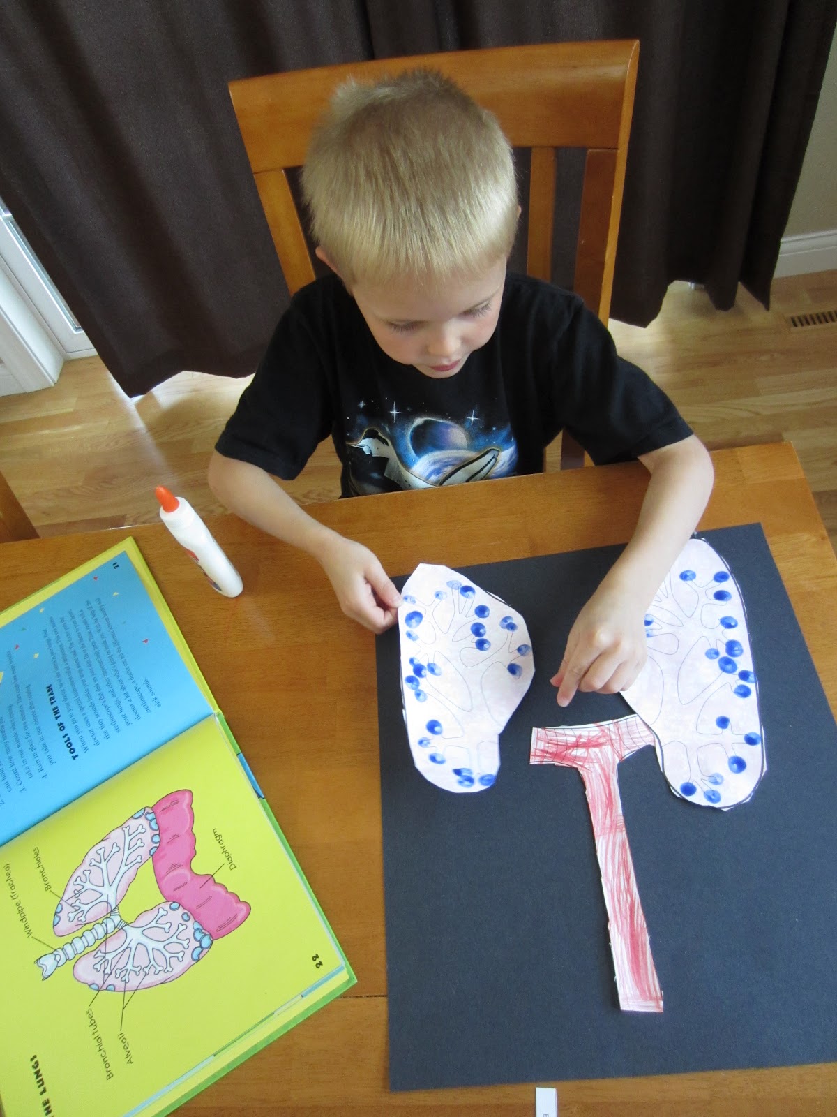 Relentlessly Fun, Deceptively Educational Spongestamped Lungs “Art”