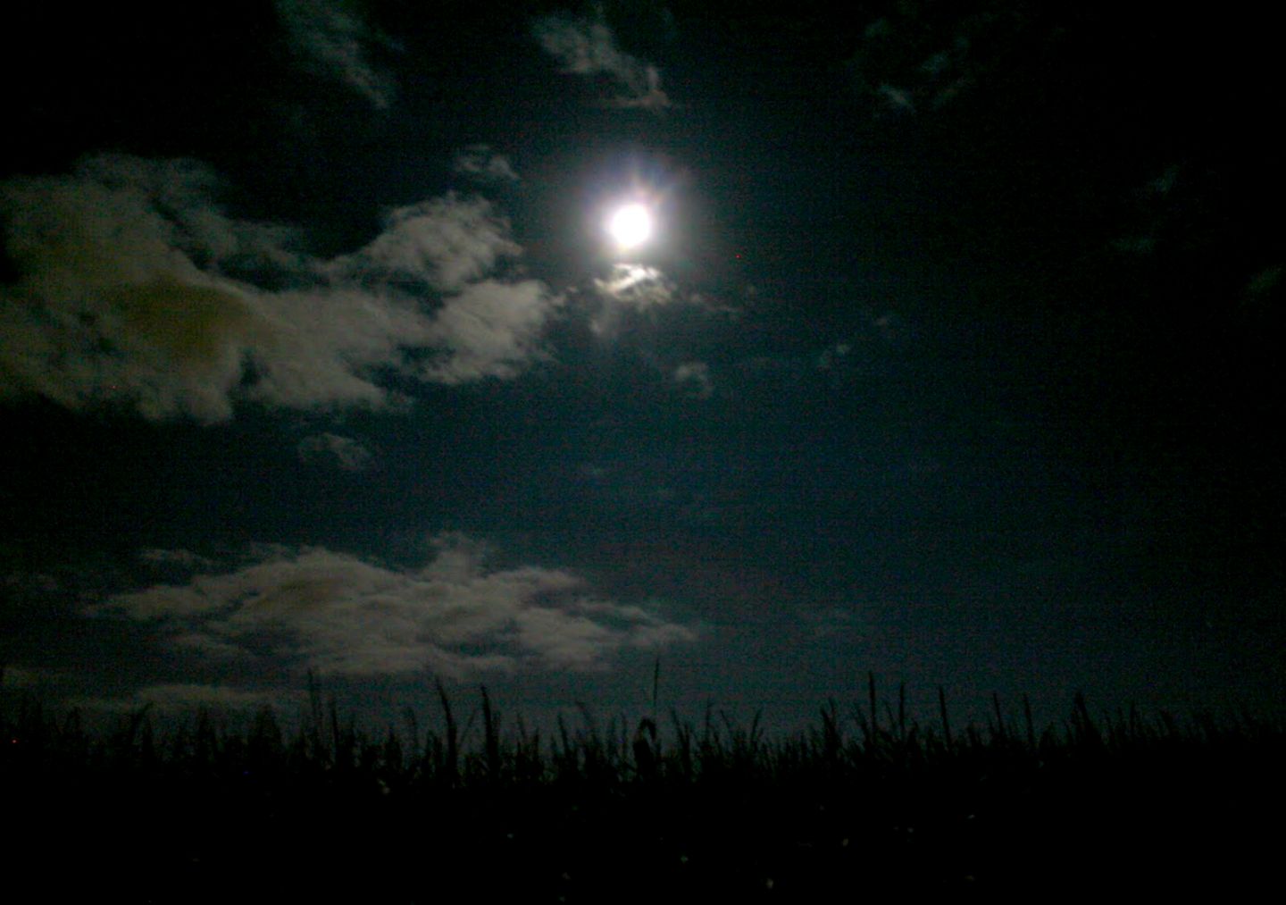 Neil Gaimans Journal The Moon over the Corn Field Neil Gaimans Journal The Moon over the Corn Field