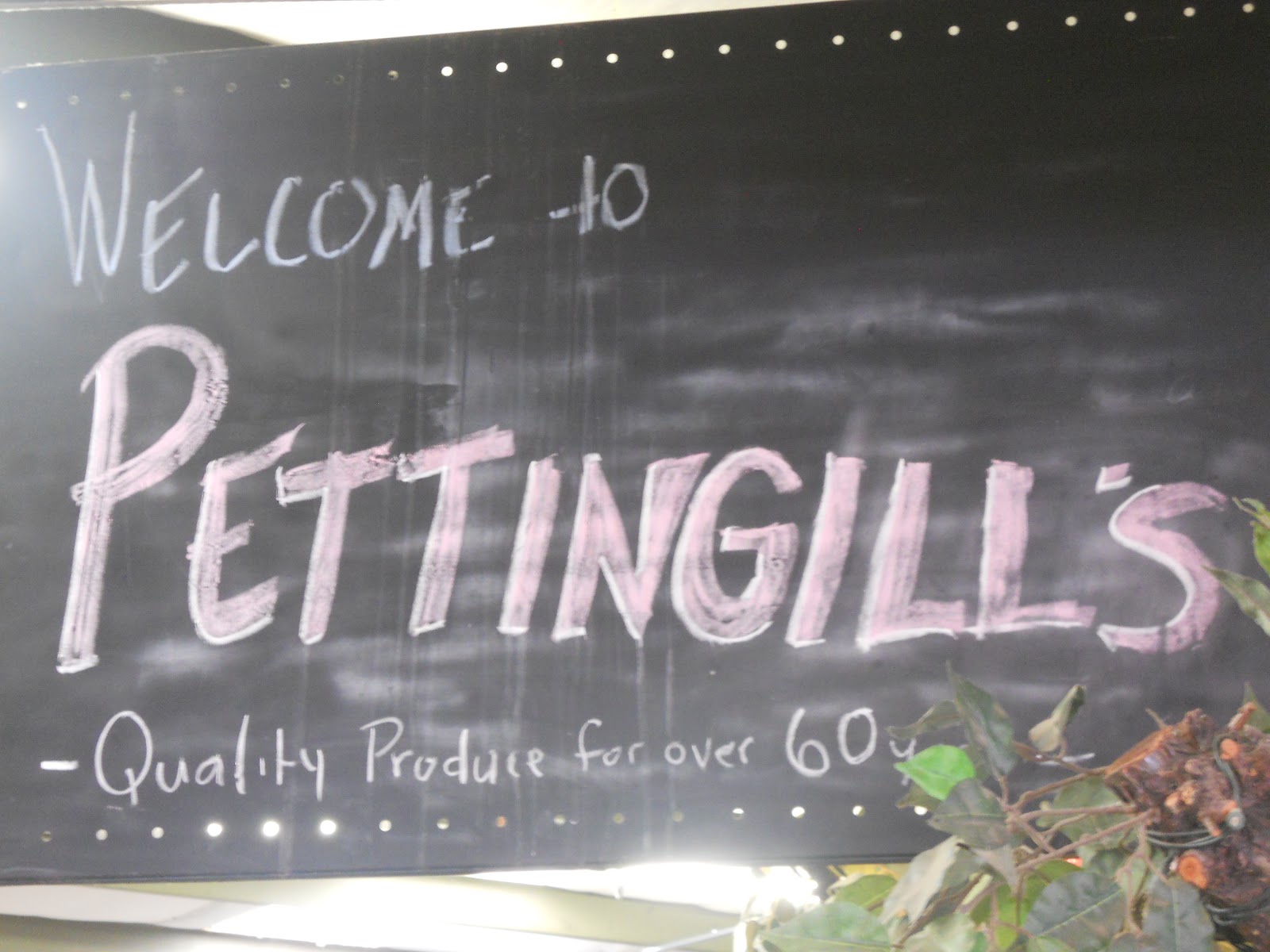 The Ice Cream Adventures Pettingill's Fruit Stand