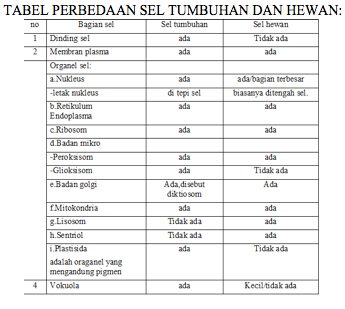 Struktur Dan Fungsi Organel Sel Dalam Bentuk Tabel Berbagai Struktur