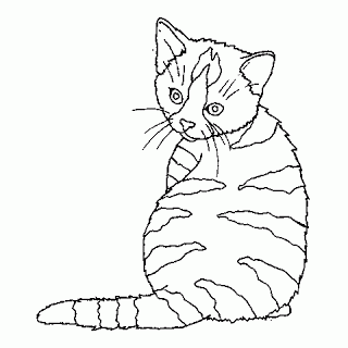 Cats Coloring Pages - Coloring Pages, Paint and Print