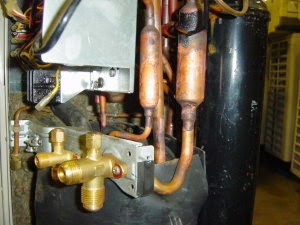 070113-4.jpg