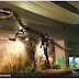 Dinosaurios: los siete descubrimientos más importantes