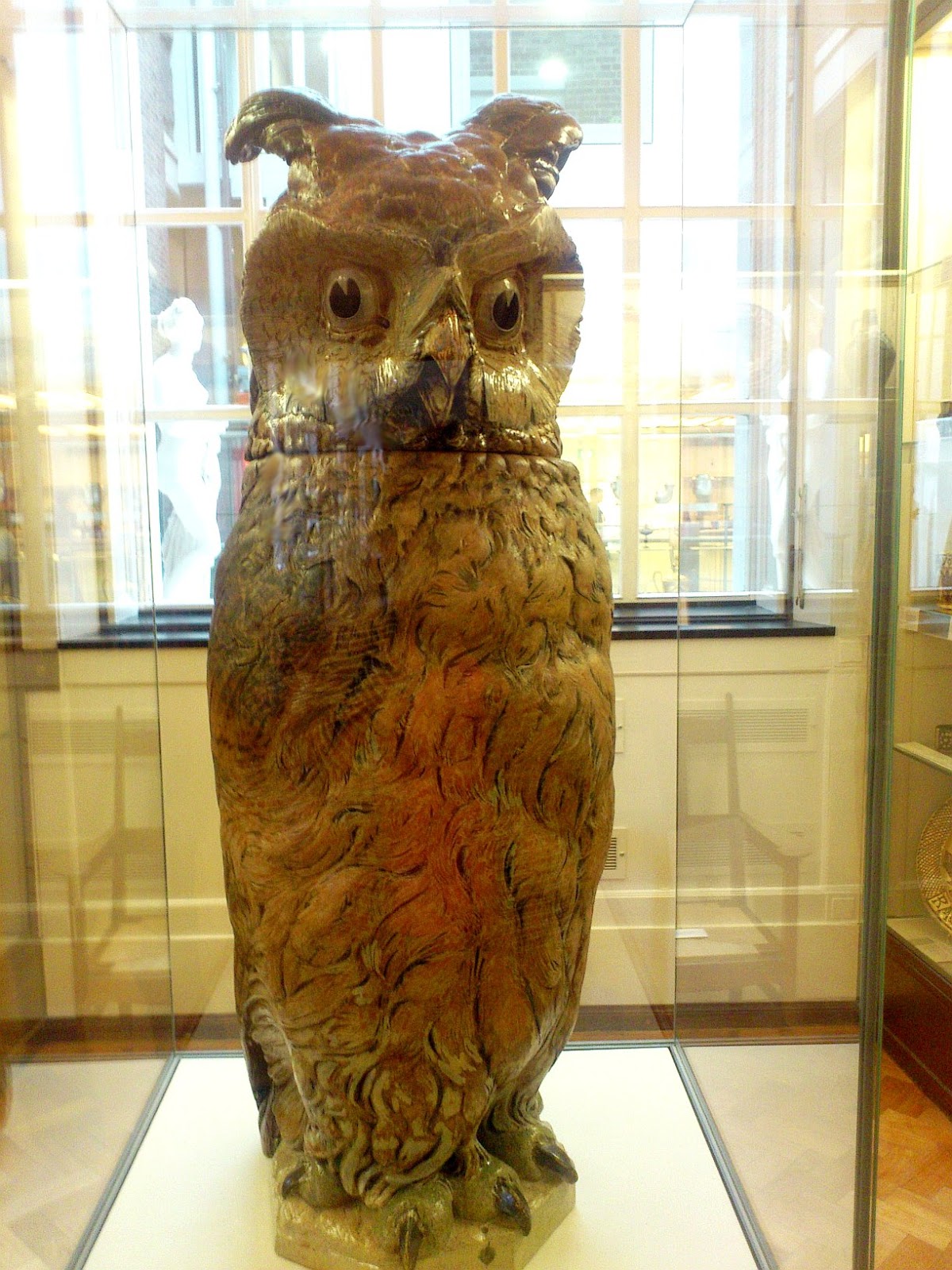 Birds of the Heath Bohemian Owl!