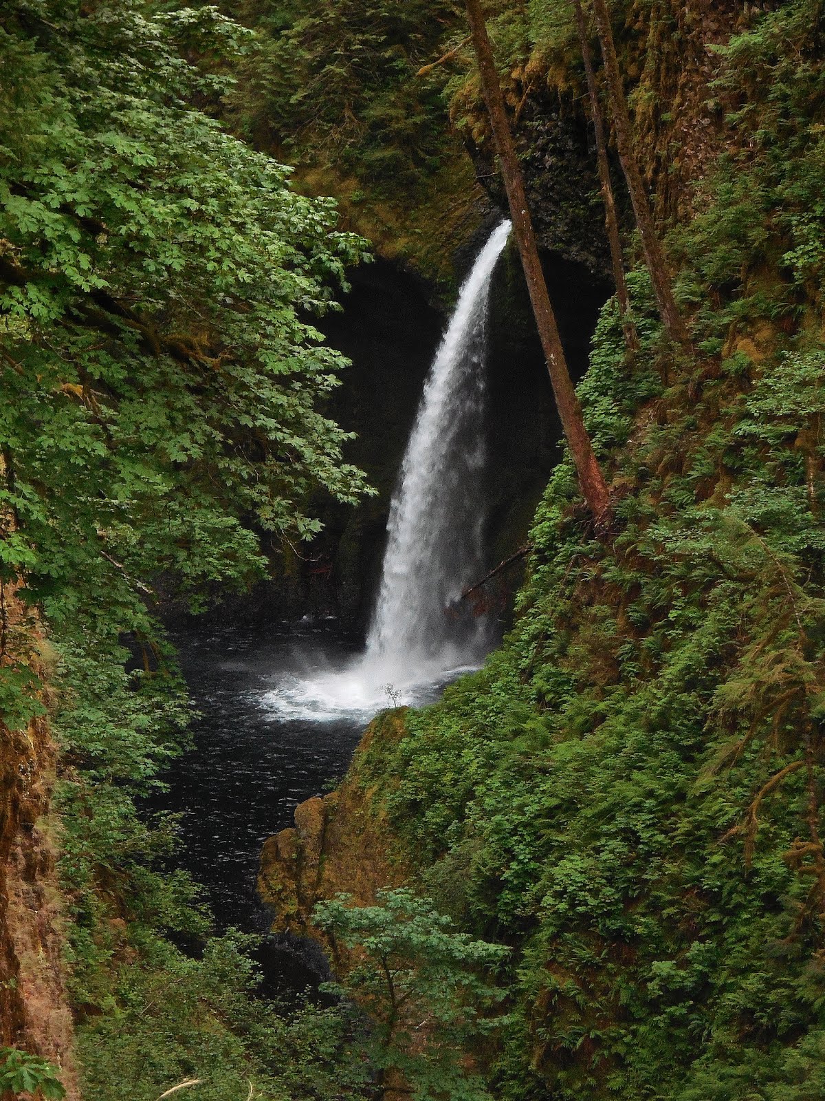 COLUMBIA RIVER GORGE