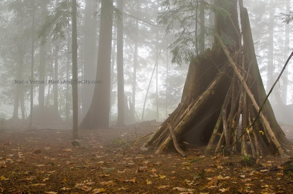 Vancouver Fog Creative Family Pictures Vancouver Fog Creative Family Pictures