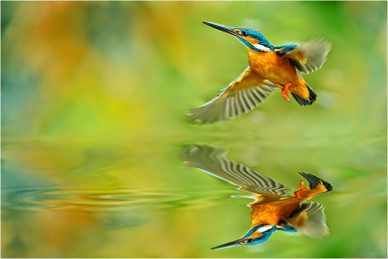 emerging photographers, Best Photo of the Day in Emphoka by