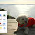 Chrome OS available on Windows 8
