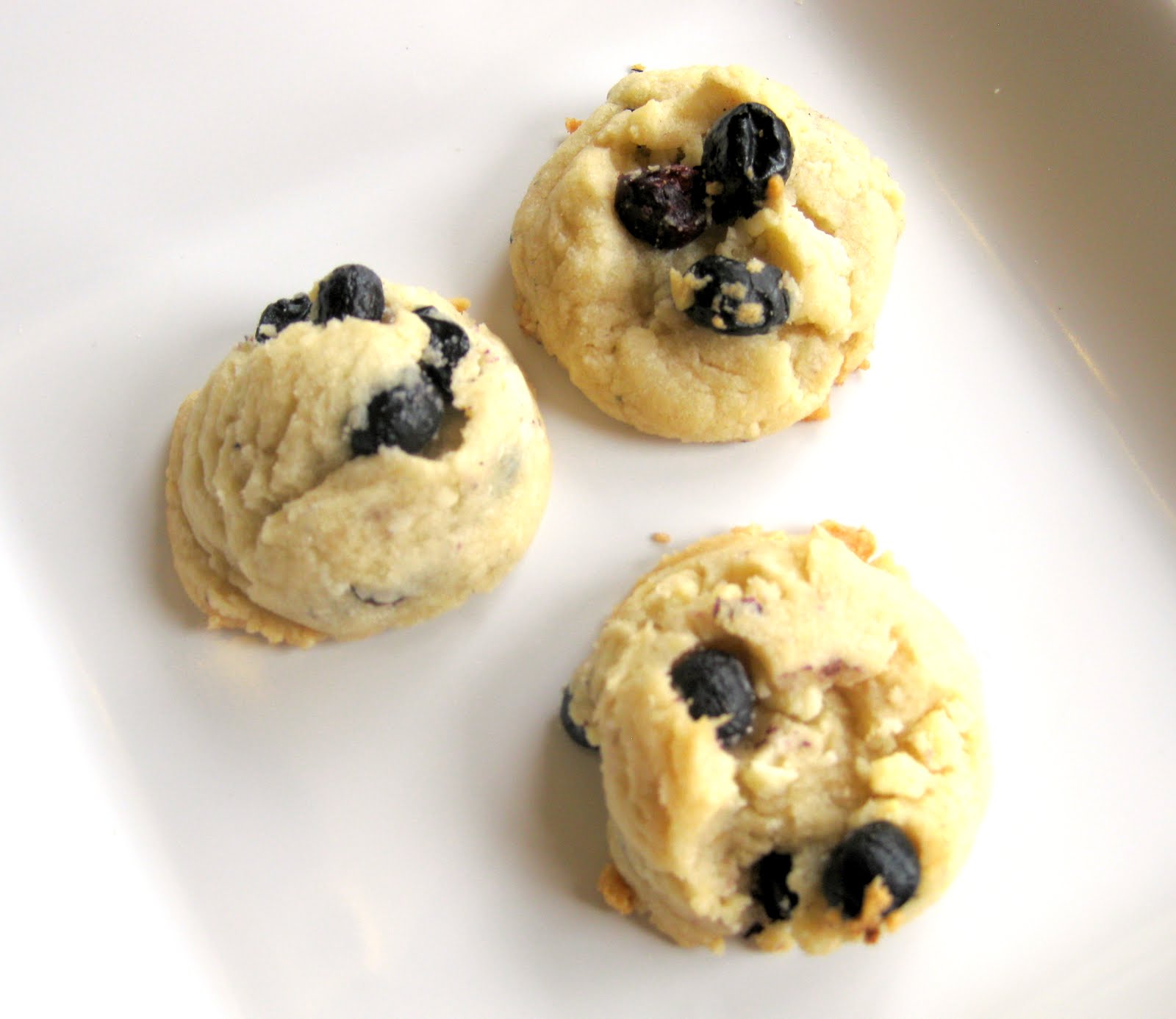 Cooking With My Food Storage Blueberries and Cream Cookies