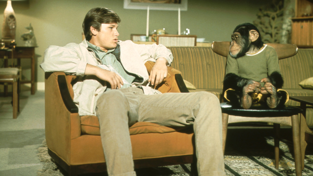 The Barefoot Executive: The Ultimate Guide for Being Your