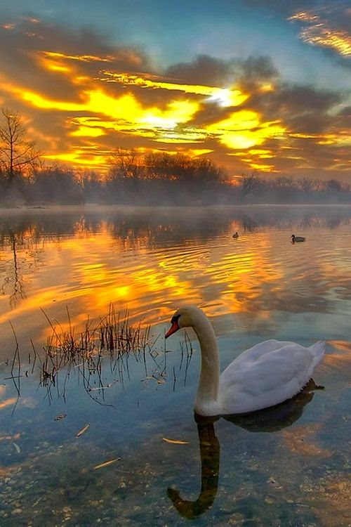 Colorful Dawn ~ Stunning nature
