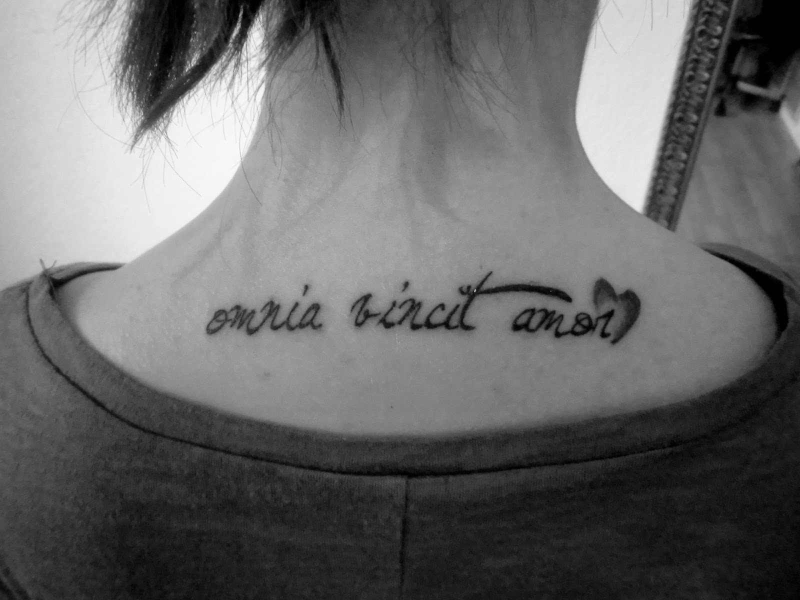 Amor Omnia Vincit