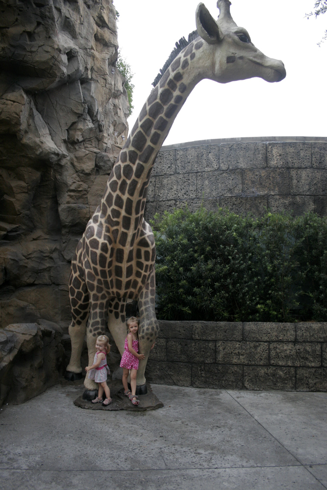 Hendersons Hilarities Week 10 Costa Rica