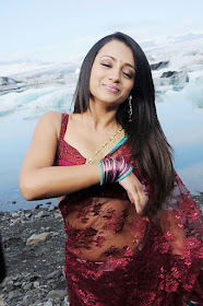 Trisha_Latest_Hot_Pics_in_Saree Trisha_Latest_Hot_Pics_in_Saree