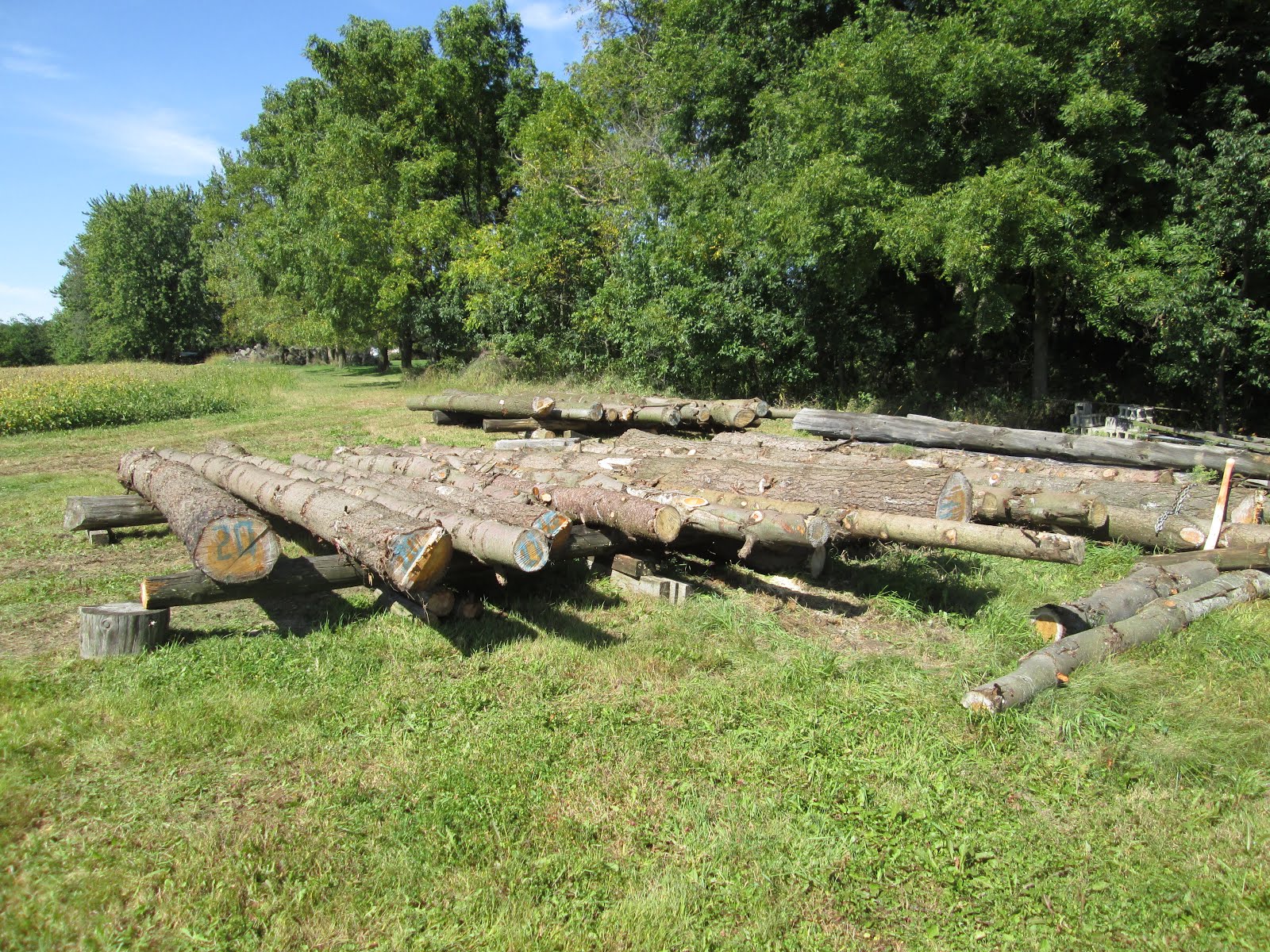 Bridges To The Future What Do You See Log Cabin 6