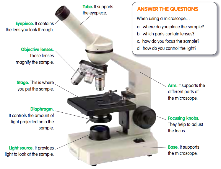 Tic Tac Science Year 5. Unit 1. Living things The microscope
