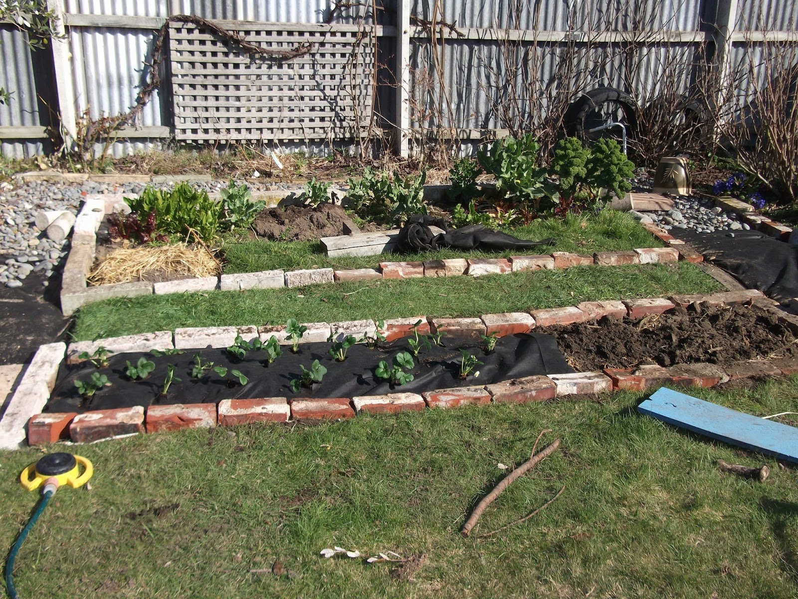 Made with my two hands A new strawberry bed