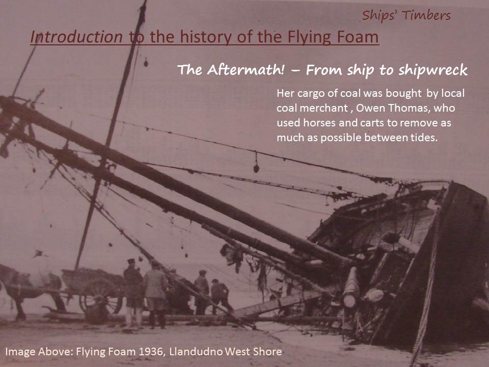 Ships' Timbers Maritime Museum Flying Foam Introduction to the