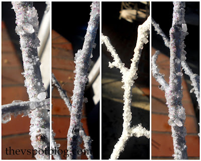 How to make diy frosted branches. Winter craft projects.