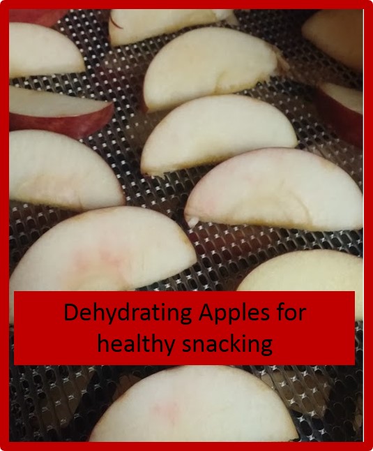 Heading Home Farms Dehydrating Apples for Healthy Snacking