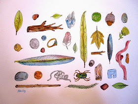 Coloured sketches of  range of little things including leaves, shells, feathers and bugs.