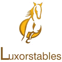 Luxorstables events, excursions and news