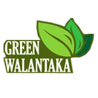 Green walantaka