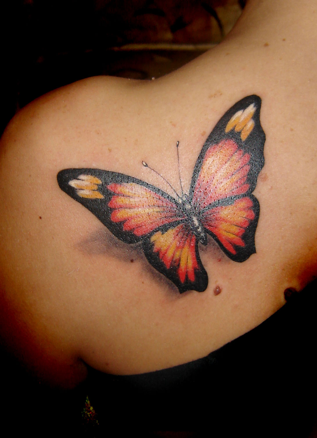 Butterfly Tattoo Pictures Shoulder | butterfly tattoos on shoulder Butterfly Tattoo Pictures Shoulder | butterfly tattoos on shoulder