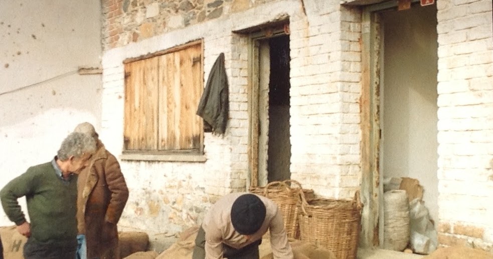 Dedemin Zeytinliği Sobalı ev ve köy kokusu