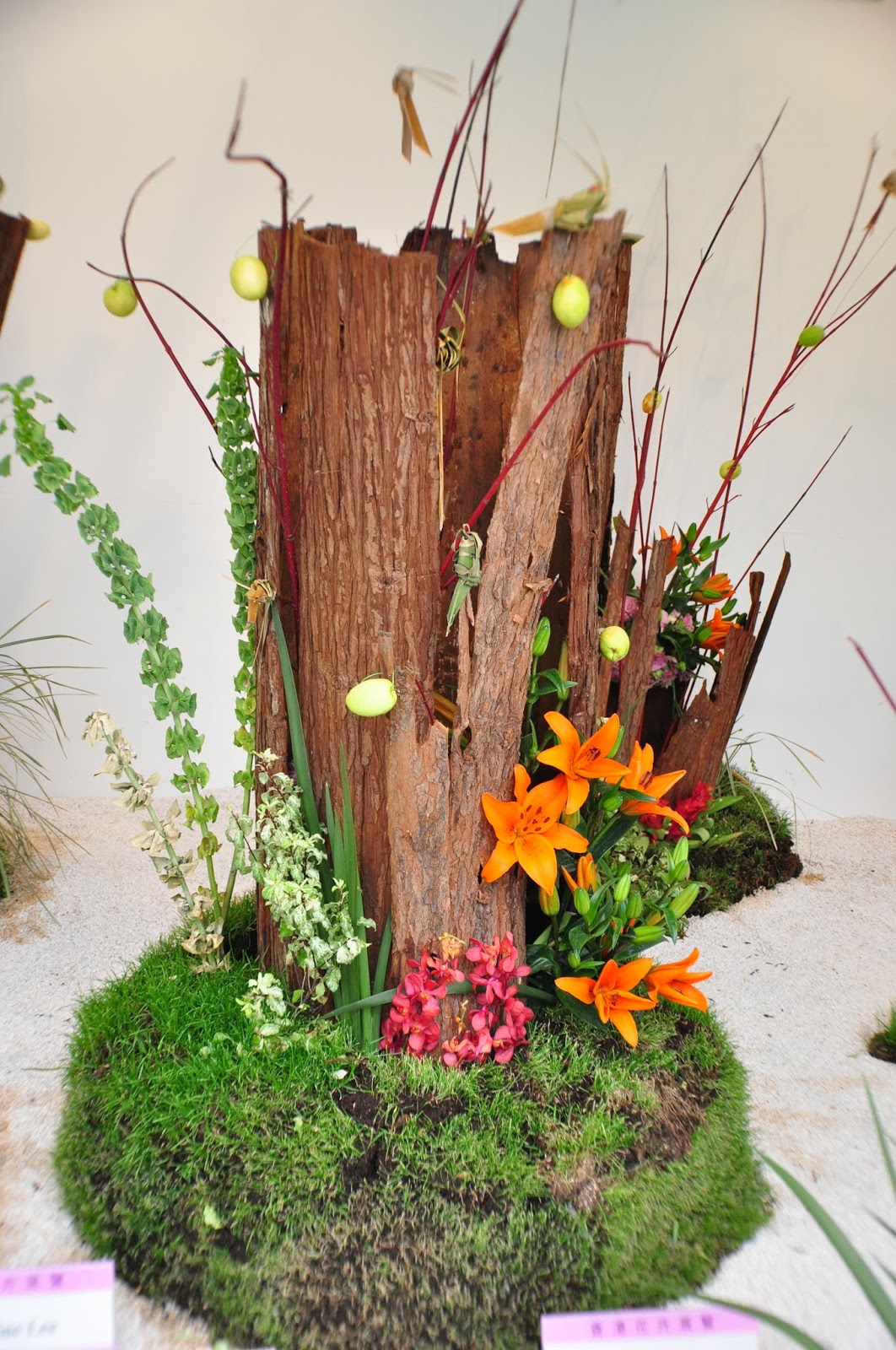 Hong Kong Flower Show 2011 at Victoria Park Hong Kong Trip Day 3