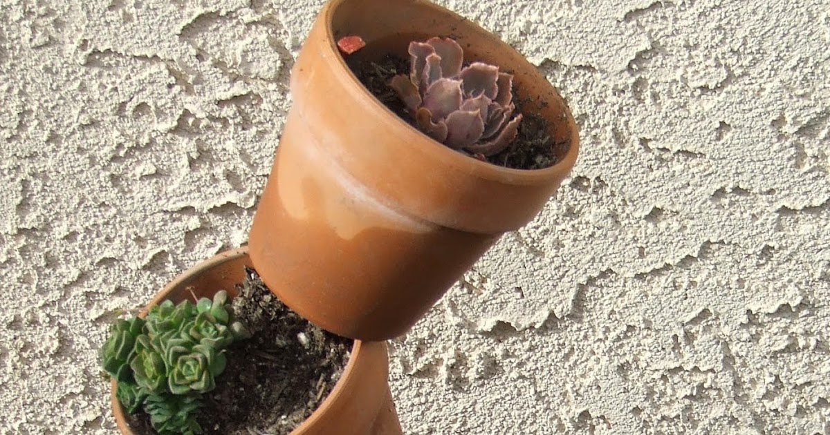 What's Growin' On? Flowerpots on a stick