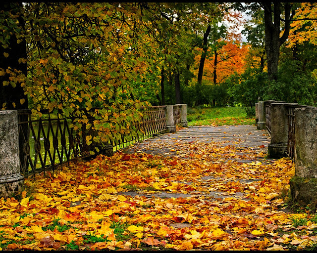 Autumn-pictures-+Wallpaper-Photos-gallery-2011-014
