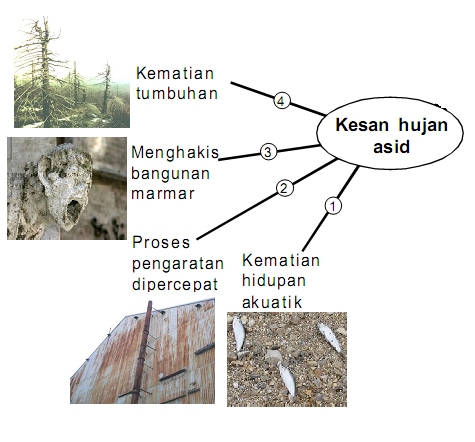Hujan Asid