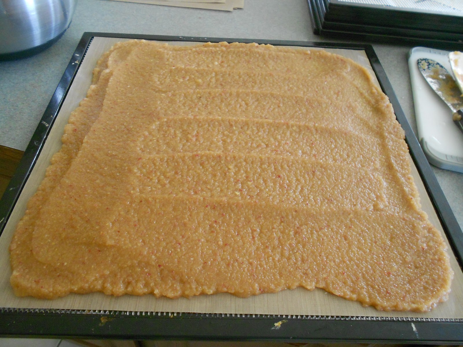 SelfReliance by Jamie Apple Cinnamon Fruit Leather