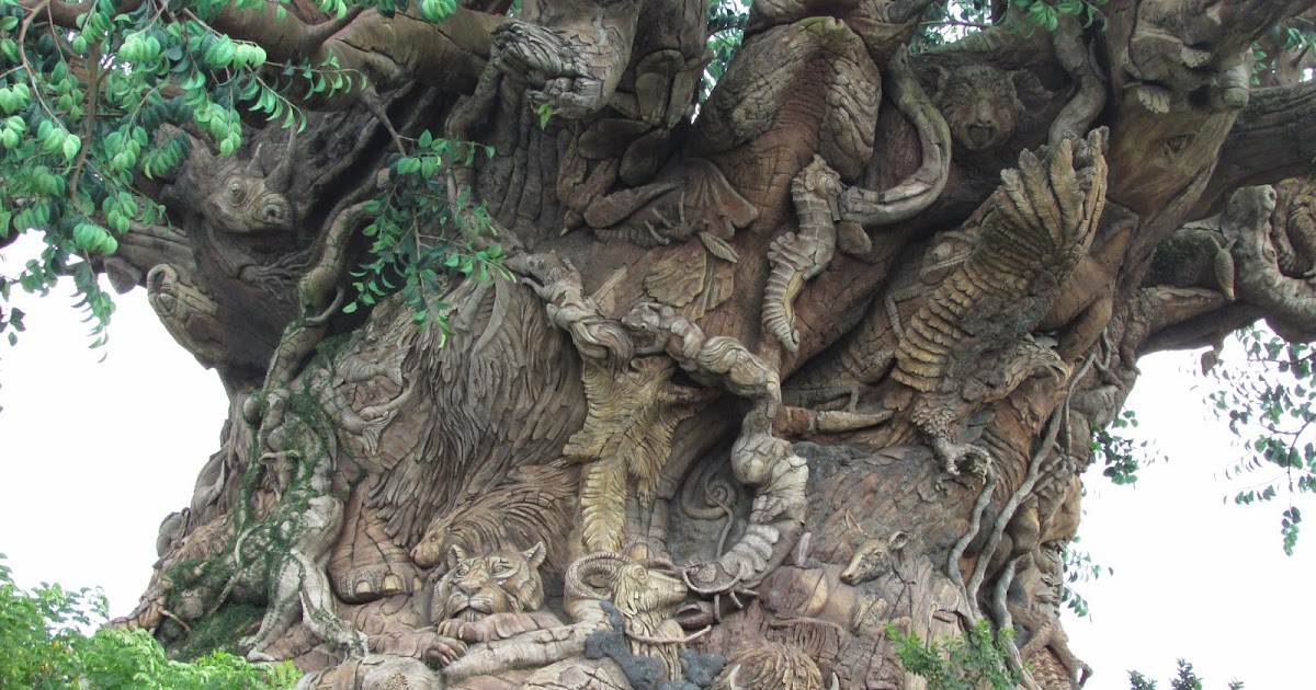 ZooZooReview: Disney's Animal Kingdom (Update)