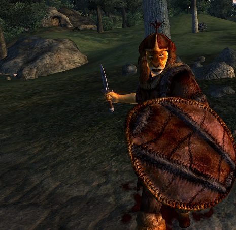 oblivion merchant with most gold oblivion merchant with most gold