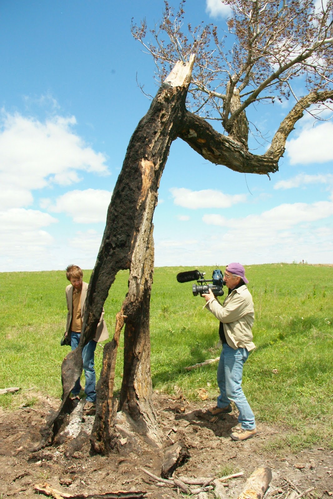 The Creative Native Project Treebeard Lives In The