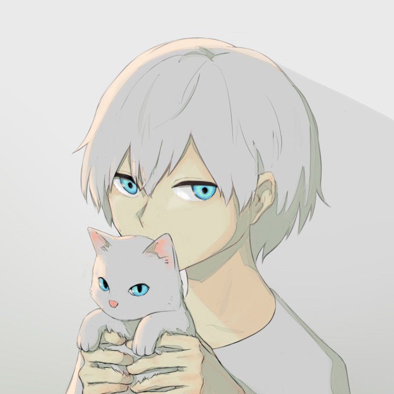 貓與少年