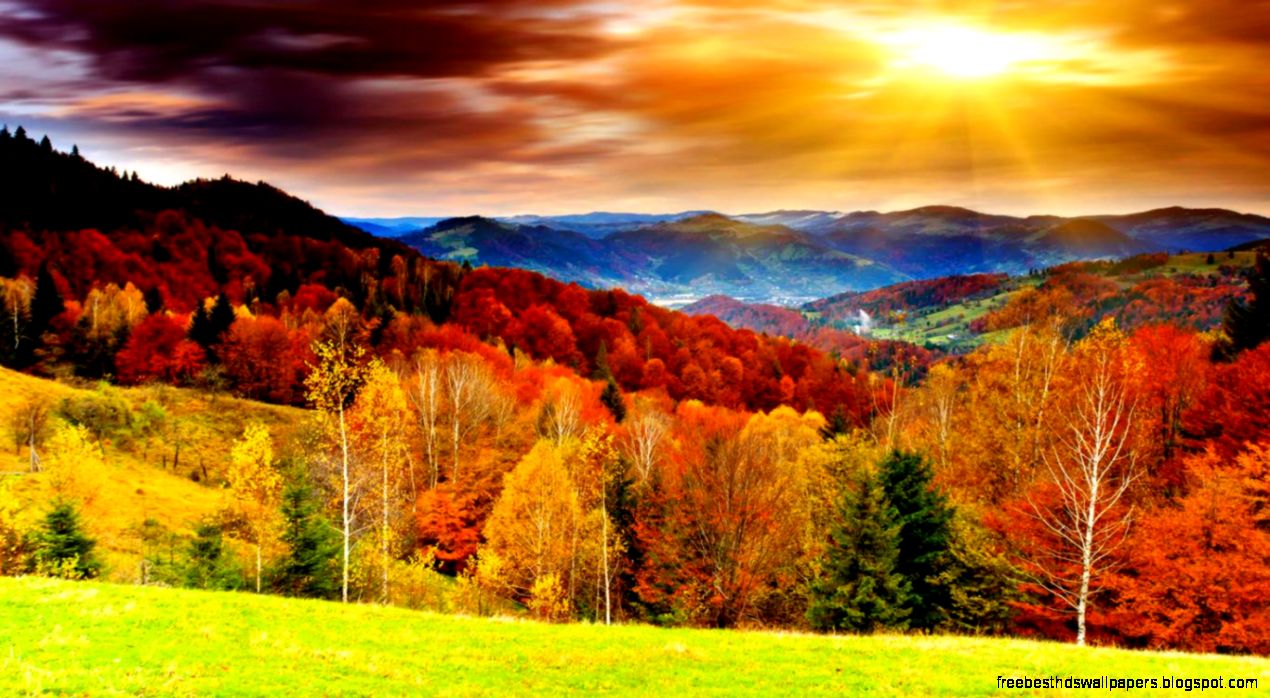 fall landscapes scenery fever fall landscapes scenery fever