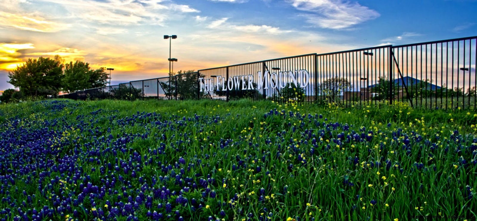 Fiesta Flower Mound 2014 – Fire and Ice Flower Mound Chamber of Fiesta Flower Mound 2014 – Fire and Ice Flower Mound Chamber of