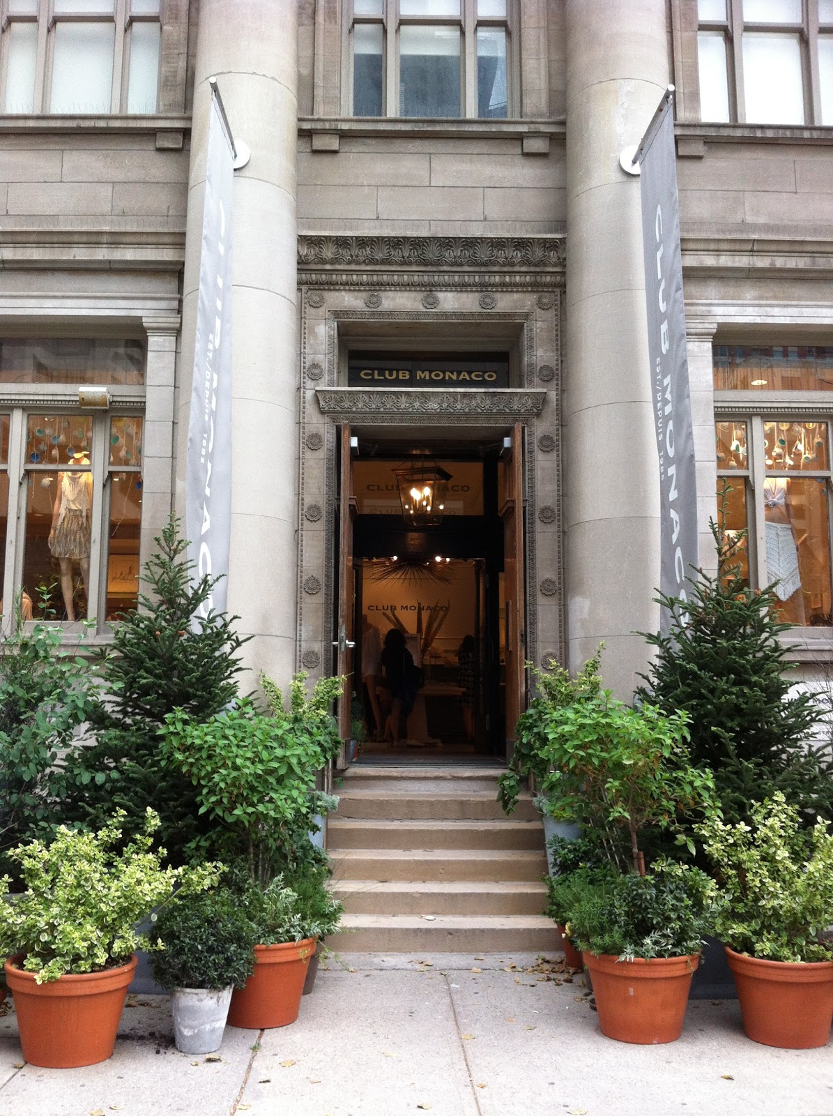 The Pretty Purveyor Potted Trees