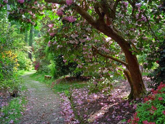 Mirando al mundo con sentimientos: mayo 2014