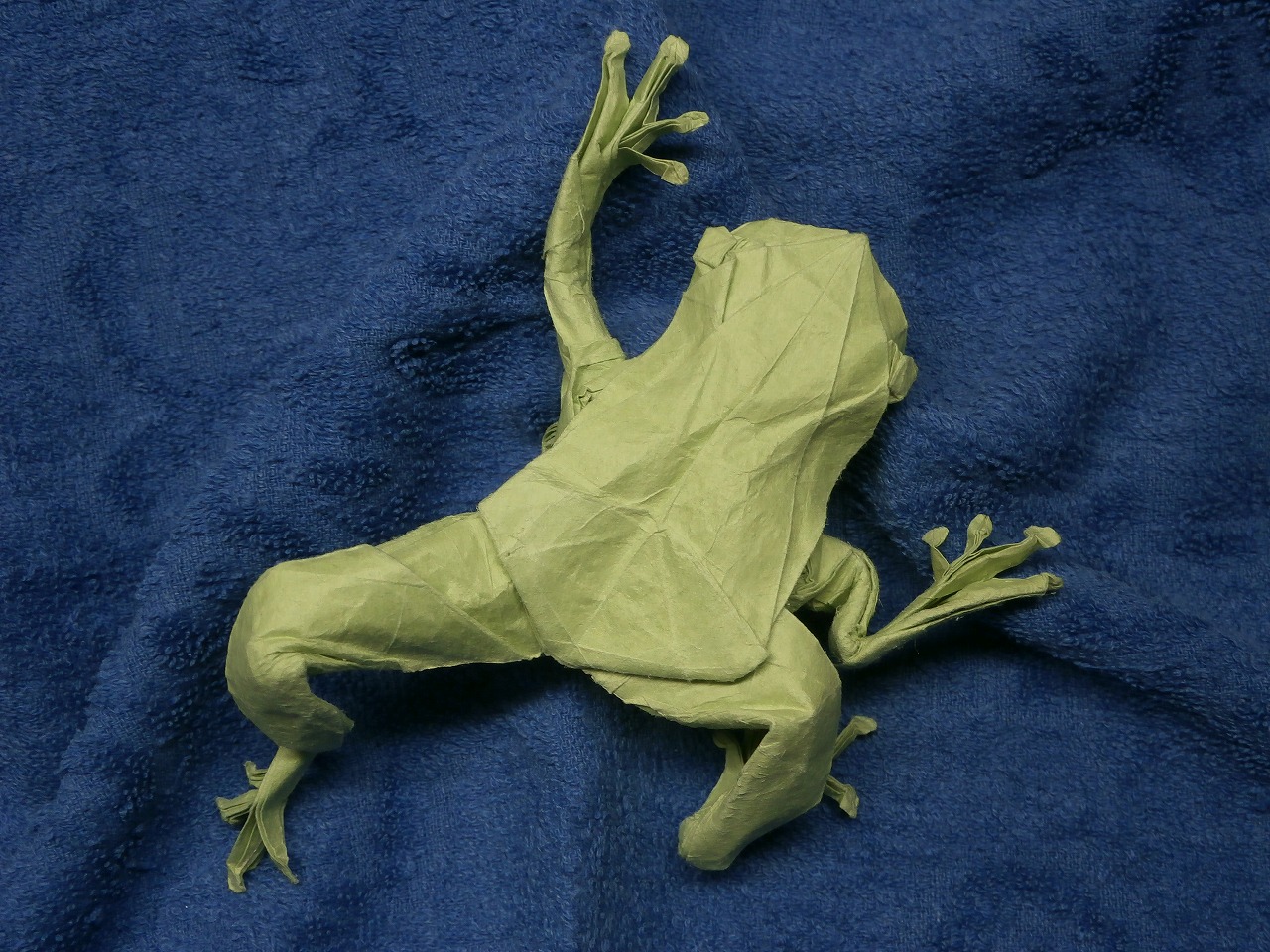 KATAKOTO ORIGAMI Origami frog on wet folding