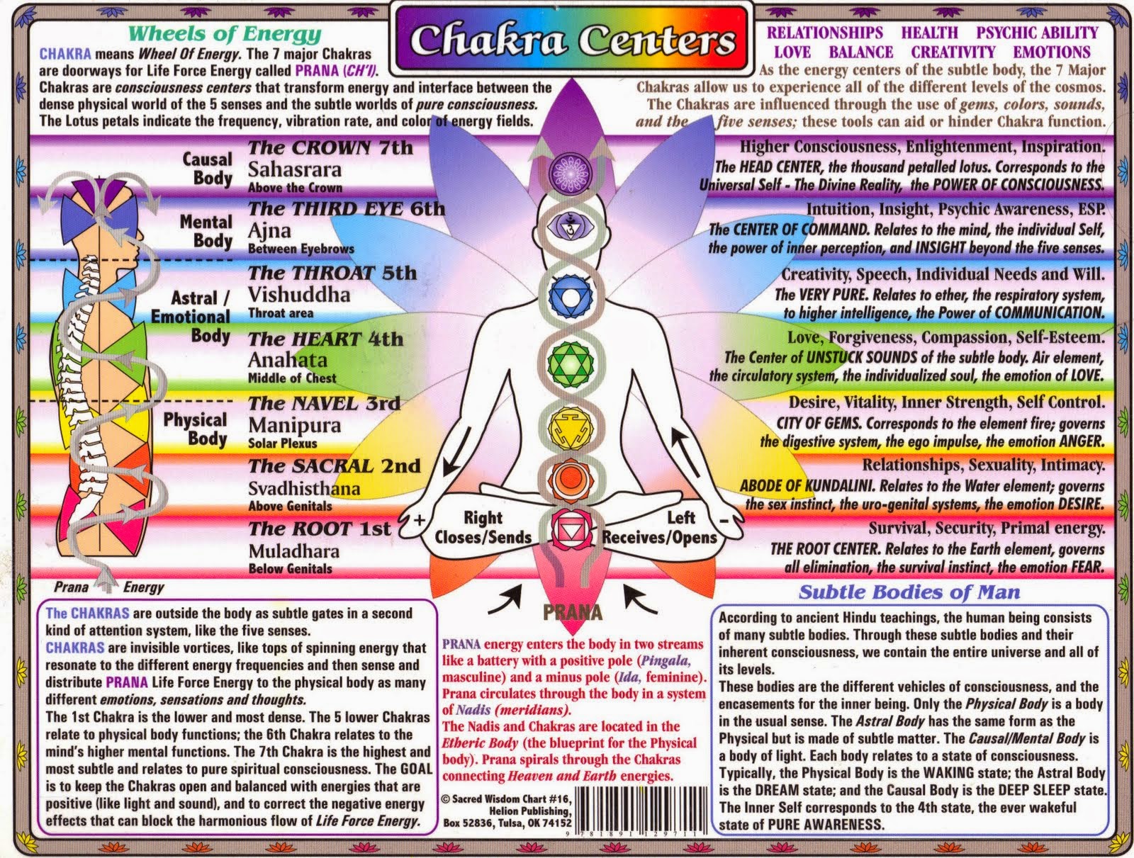 Chakra Organ Chart