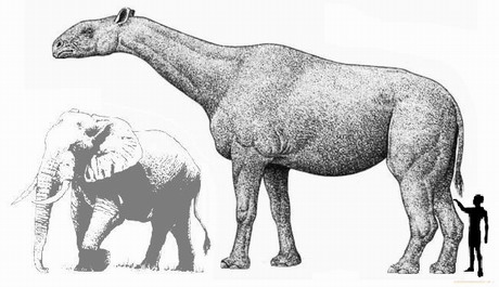 Extinction around the world: Indricotherium and Andrewsarchus