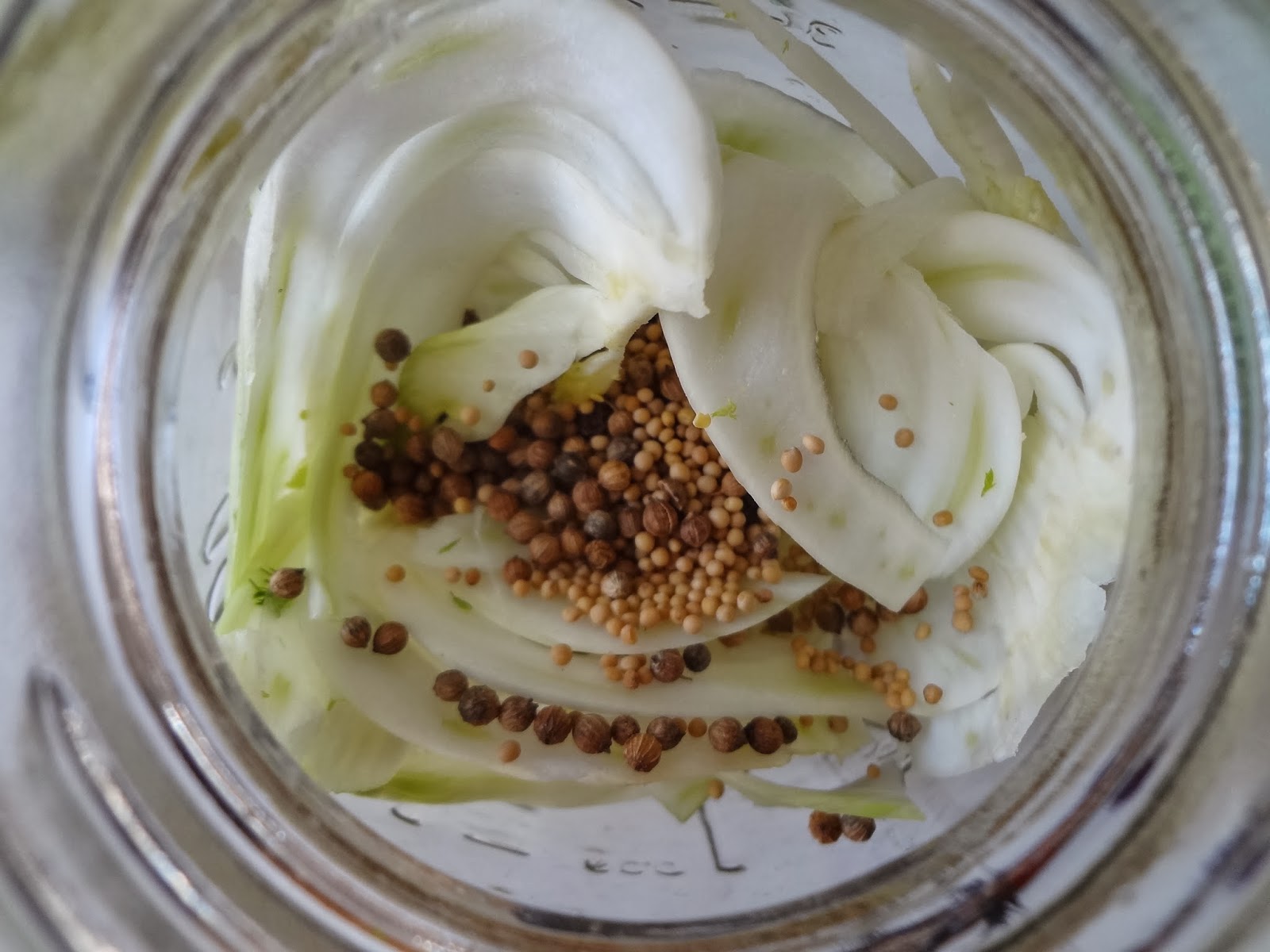 Poupette in the kitchen Quick pickled fennel