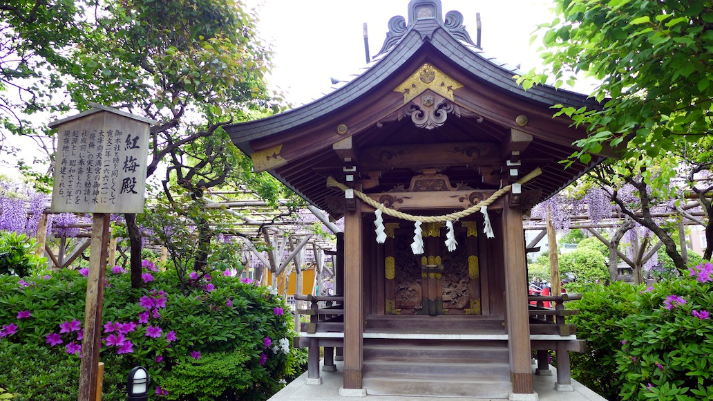 Madam C 4 亀戸天神藤まつり