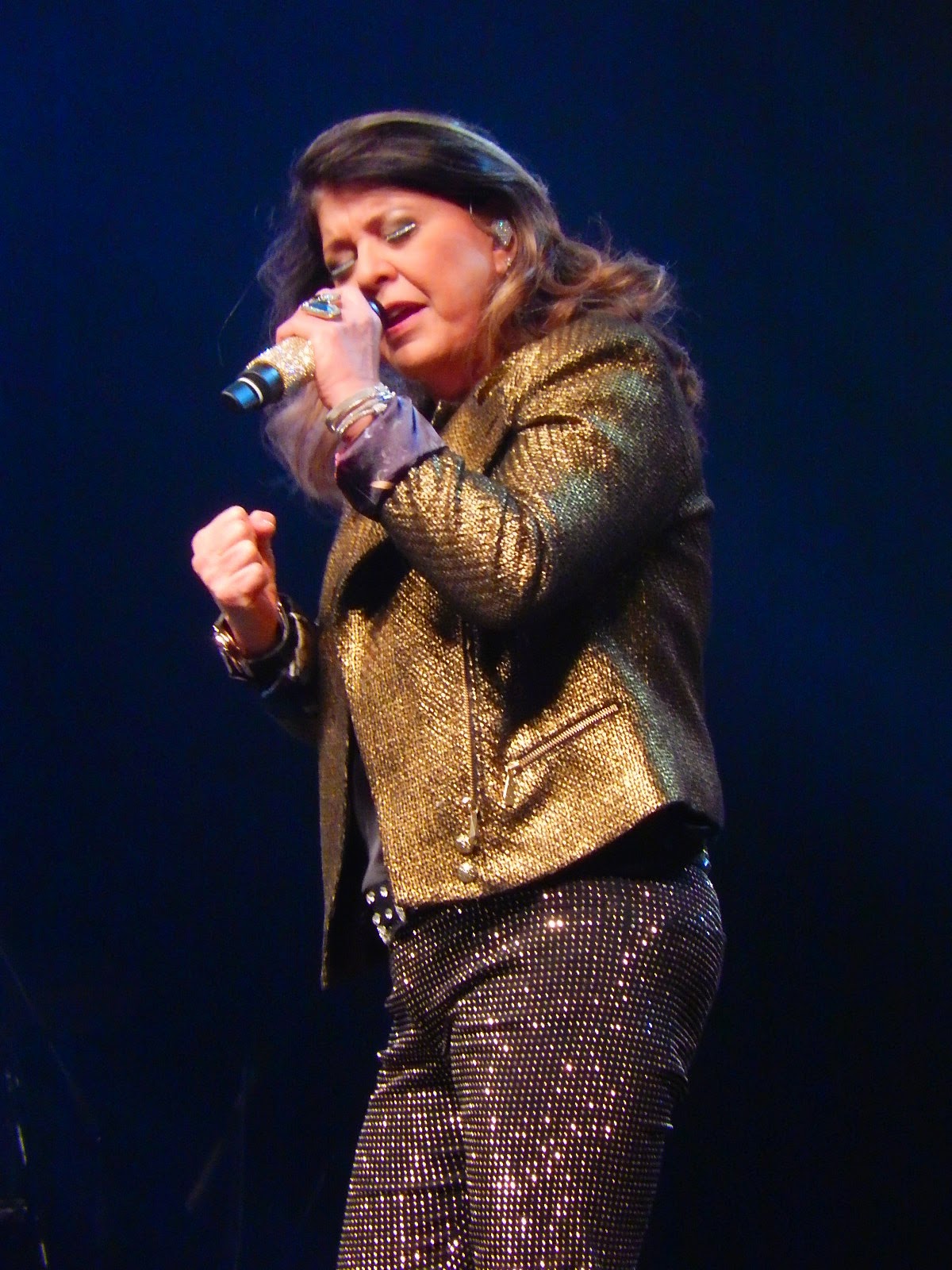 Roberta Miranda (show)